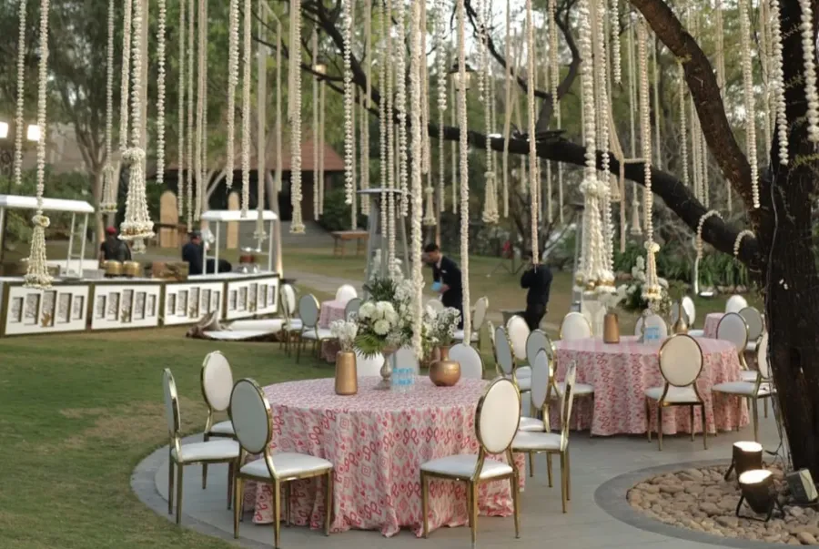 Garden dining in blush linens, framed by hanging décor