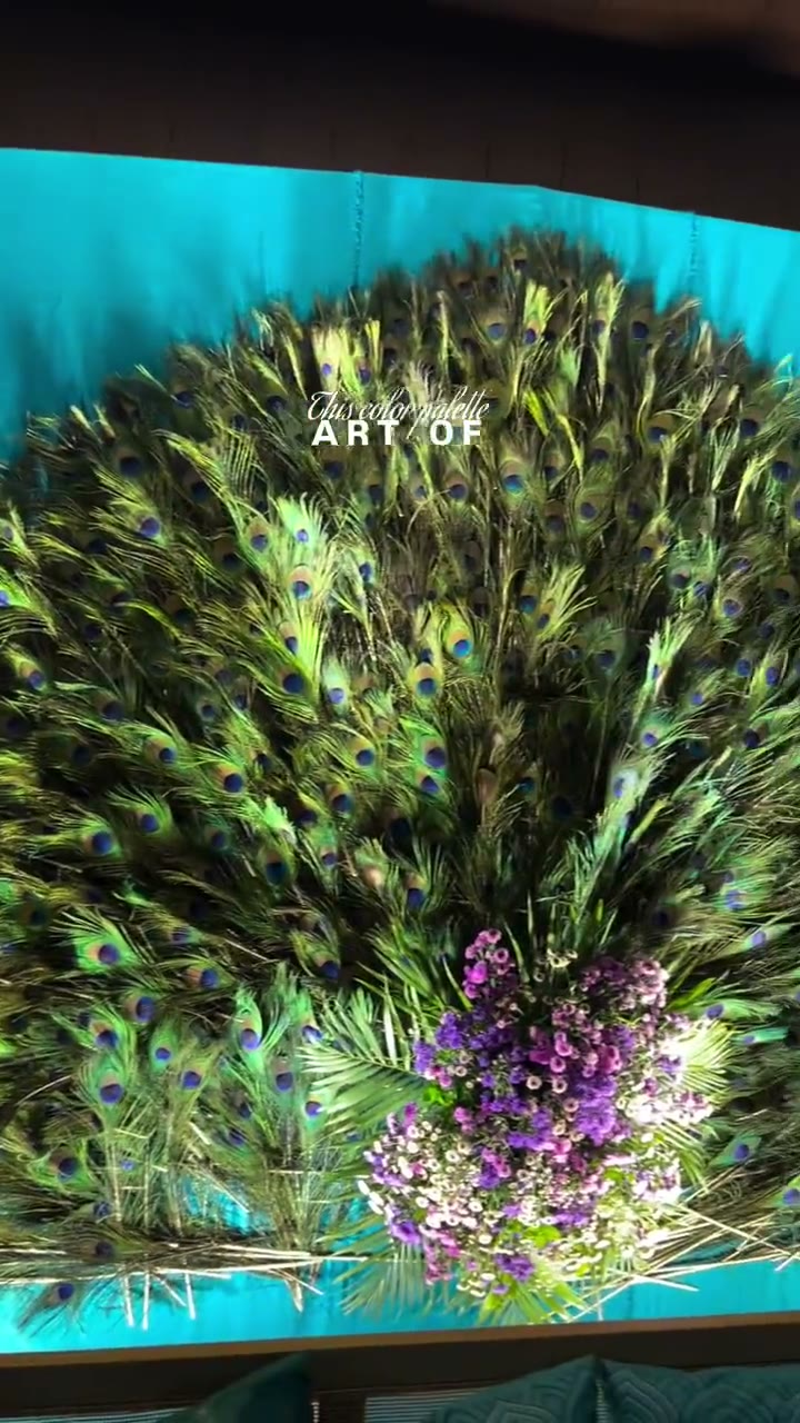 Peacock-feather and floral backdrop against a deep teal wall
